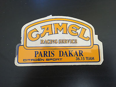 camel racing service a.jpg